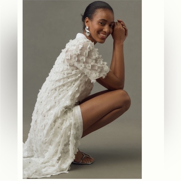 NWT Anthropologie Porridge White Sheer Short Sleeve 3D Floral Shirt Dress Size L - Picture 4 of 11